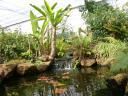 20020424_143250_soa_butterfly_farm_other_waterfall_o.jpg