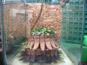 20020818_150556_soa_butterfly_farm_leaf_cutter_ant_colony.jpg