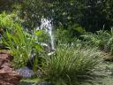 20030708_153727_pond_fountain.jpg