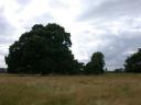 20030708_155641_charlecote_park_st_leonards.jpg
