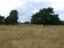 20030708_155705_charlecote_park_st_leonards.jpg