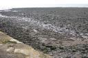 20041031_111221_lynmouth_beach.jpg