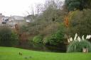 20041102_135152_watermouth_castle_pond_from_cottage.jpg