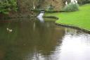 20041102_135614_watermouth_castle_pond.jpg