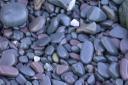 20041103_114010_clovelly_beach_pebbles.jpg