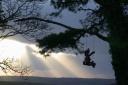 20041104_155611_blackmoor_swinging_plantpot_man.jpg