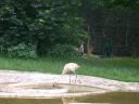 20040716115327_1419.JPG