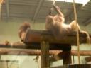 20040716160731_1402.JPG