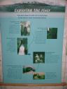 20040320_130229_poster_exploring_the_river.jpg
