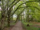 20050424_153723_moat_mount_open_space_path_kc.jpg