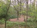 20050424_175046_moat_mount_magical_tree.jpg