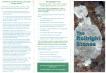 19980616_100000_rollright_stones_pamphlet_01.jpg