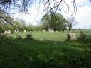 20020421141949_rollright_stones_o.jpg