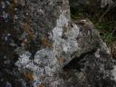 20020421143325_rollright_stones_whispering_knights_closeup_o.jpg