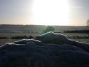 20041227_095927_frost_on_rollright_standing_stone.jpg