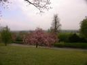 20020419_111651_loxley_view_from_war_memorial_o.jpg