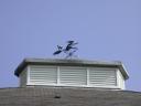 20020419_152253_one_way_system_houses_wind_vane_stratford_o.jpg