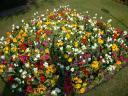 20020419_163125_flowers_bancroft_stratford_upon_avon_o.jpg