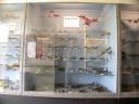 20020421_125736_ww2_air_museum_model_aeroplanes_o.jpg