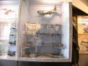 20020421_125757_ww2_air_museum_model_aeroplanes_o.jpg