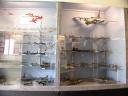 20020421_125812_ww2_air_museum_model_aeroplanes_o.jpg