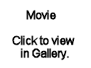 20081116_213744_chloe_tess_pee_carpet.mp4